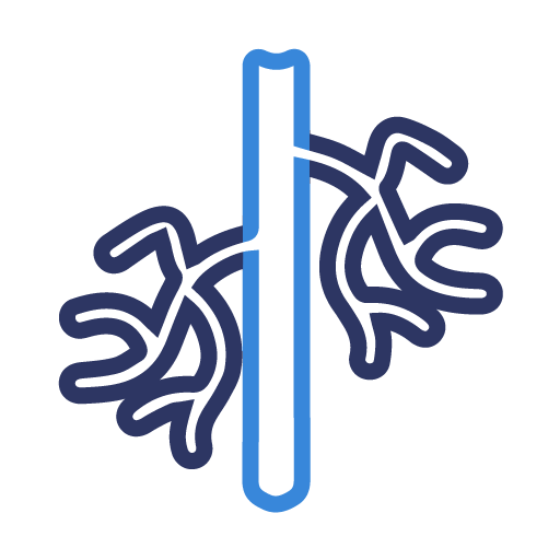 Vascular Surgery