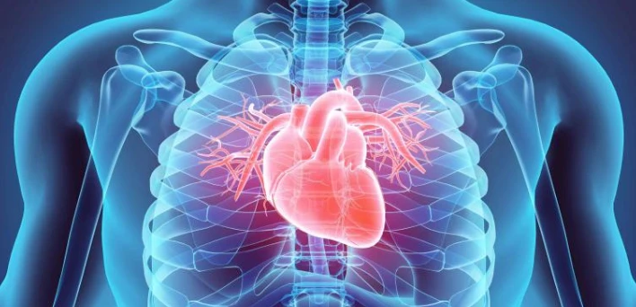 Cardiovascular Disease